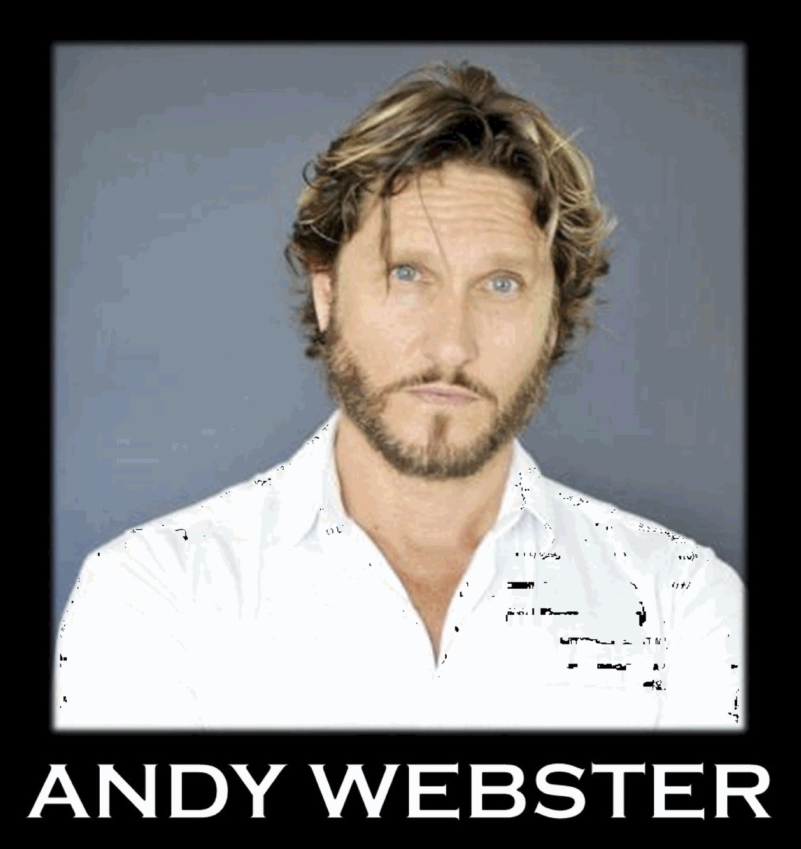 Andy Webster