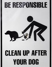 Dog Poop poster