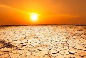 Hot Sunny Day