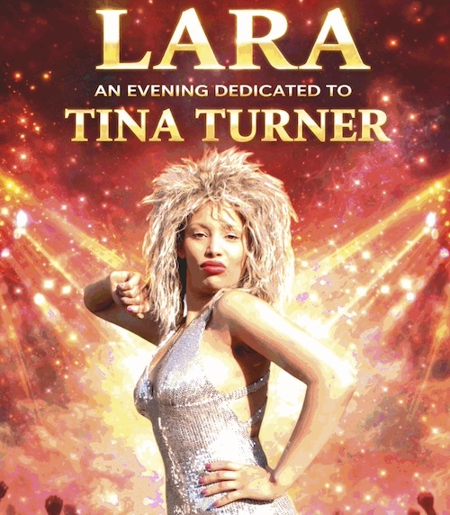 Tina Turner tribute - Lara