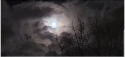 Night Sky 1