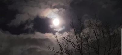 Night Sky 3