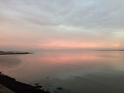 The Bay