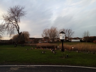 Pond 3