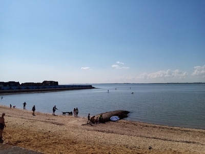 The Bay