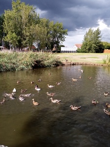 Pond 2