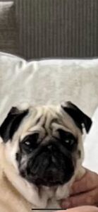 Doug