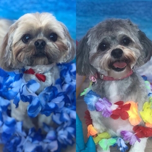 Bailey & Lottie