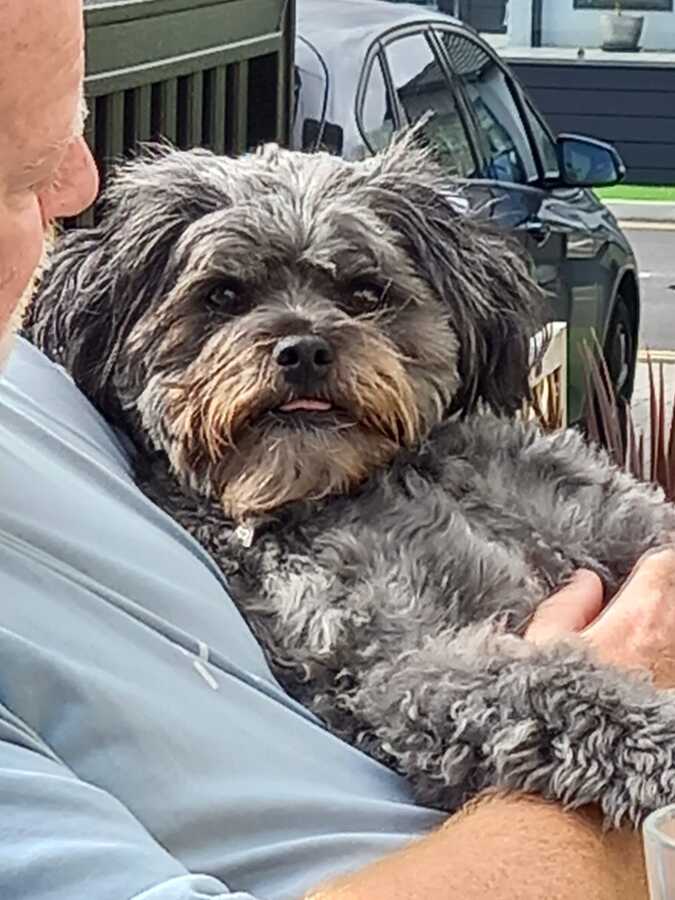 Alfie