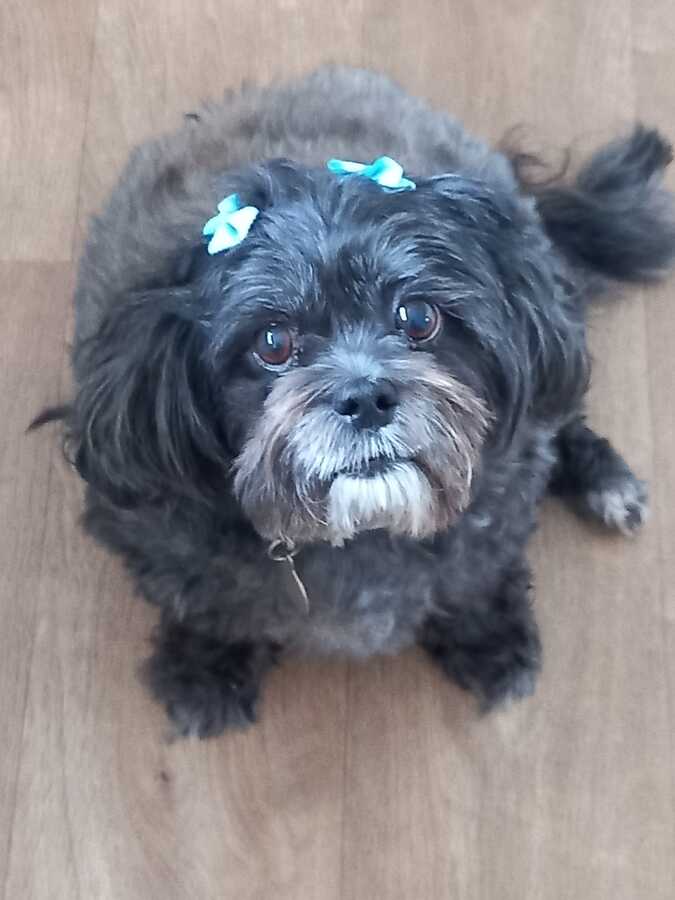 Marley