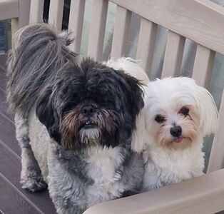 Ted & Dolly
