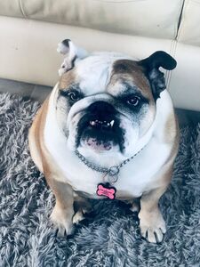 Peggy