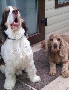 Nancy & Scooby