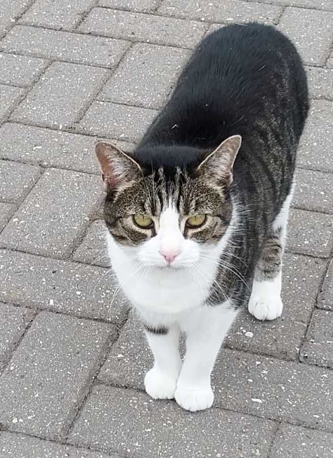Mia