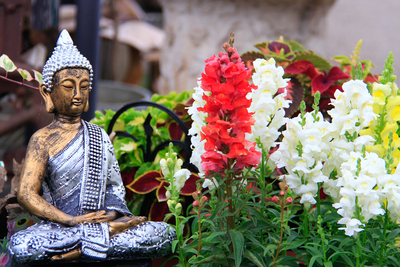 Buddha