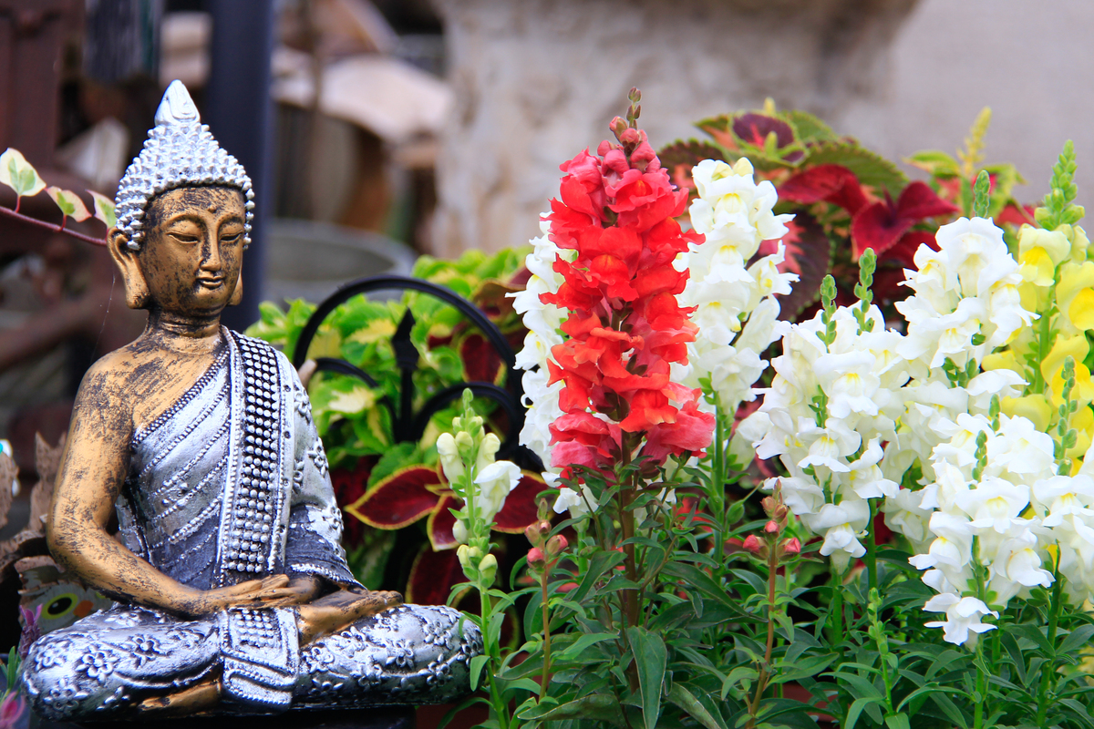 Buddha