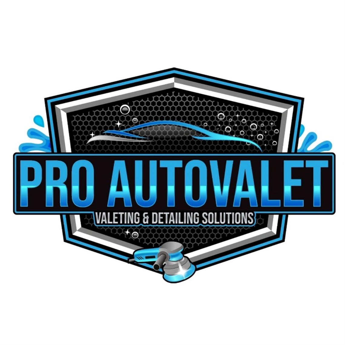 Pro Autovalet Logo