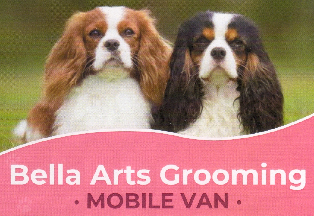 Bella Arts Mobile Dog Grooming logo